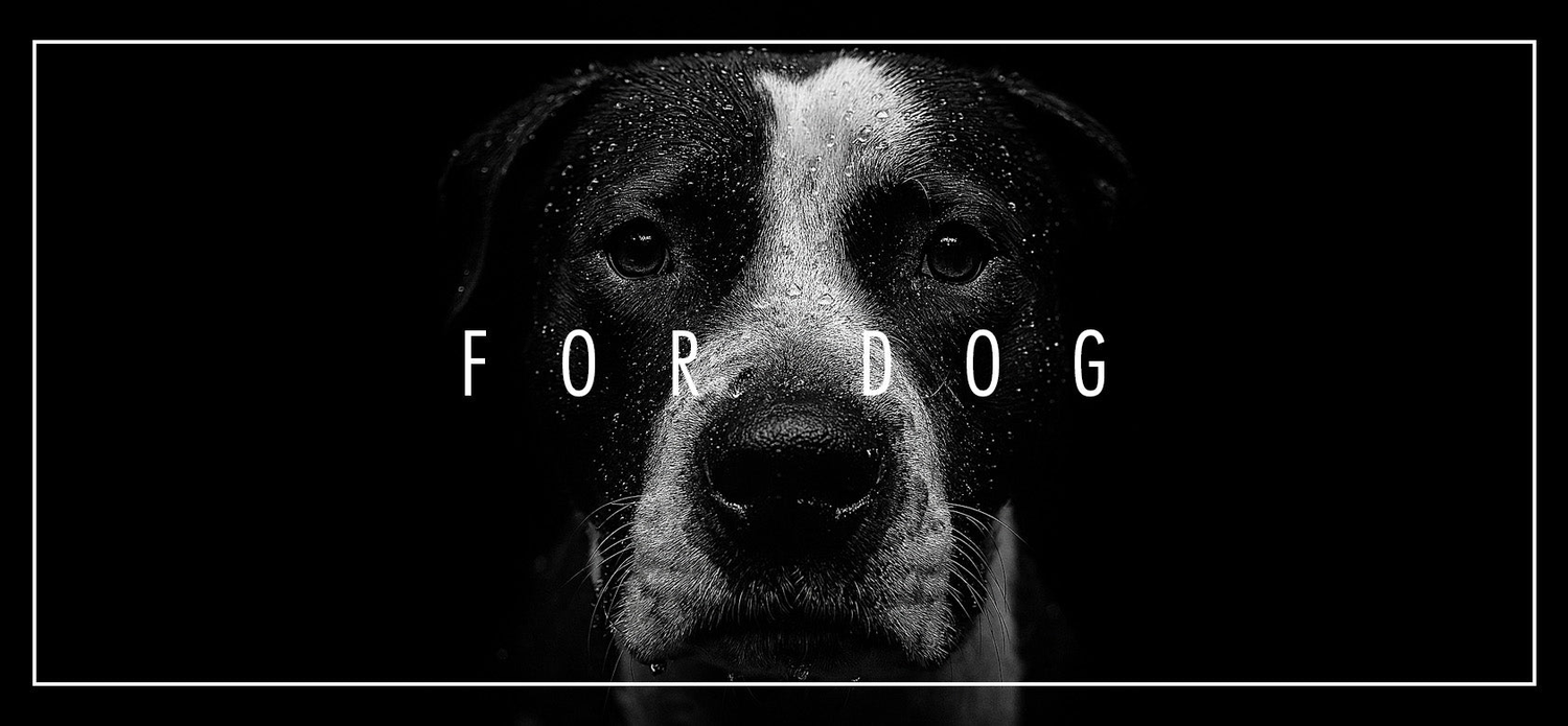 FOR DOG